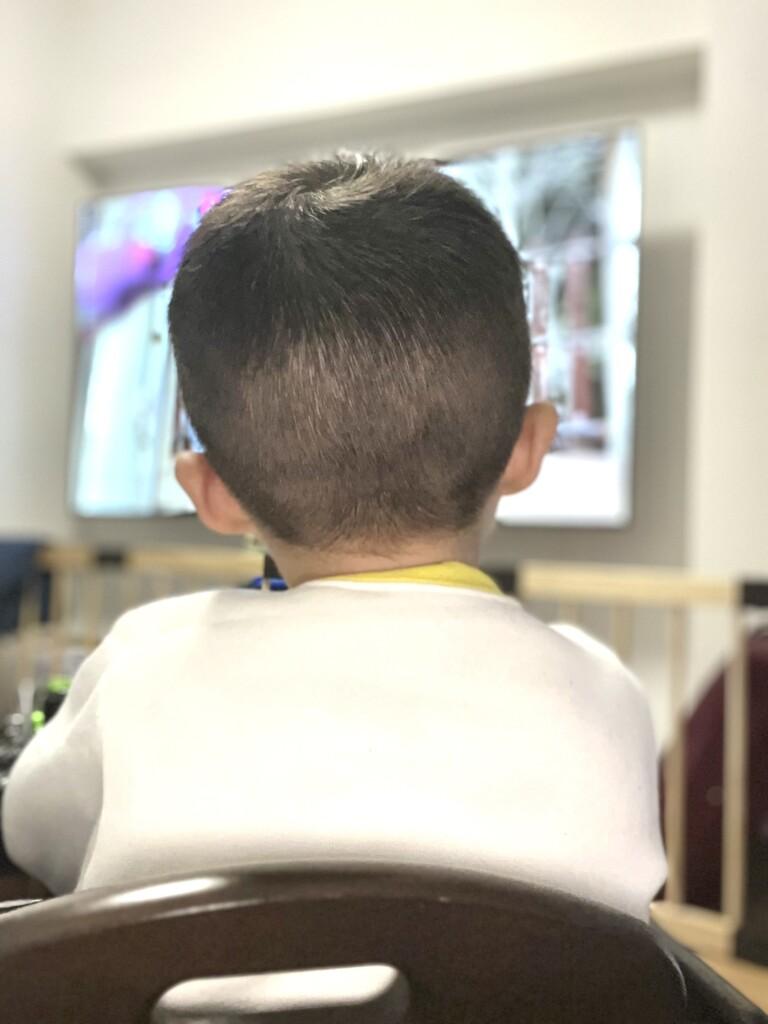 後ろをバリカンで整えた仕上がり